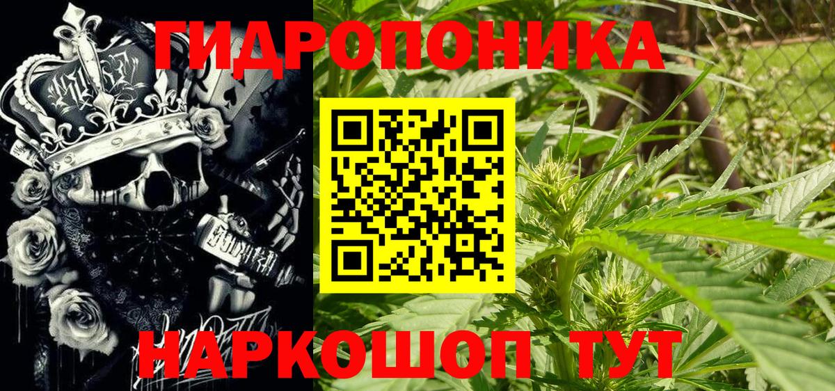 Канабис планчик  Марихуана конопля  Вход с VPN  Бошки марихуана сатива  Новый Уренгой 